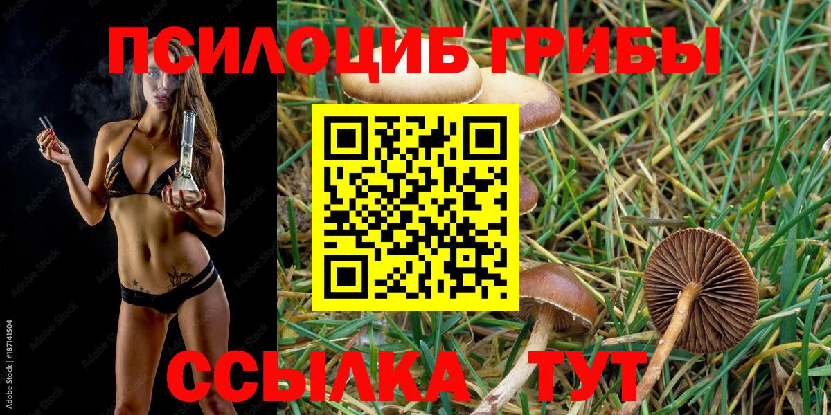Симферополь  Псилоцибиновые грибы GOLDEN TEACHER  Галлюциногенные грибы мицелий  Вход с VPN 
